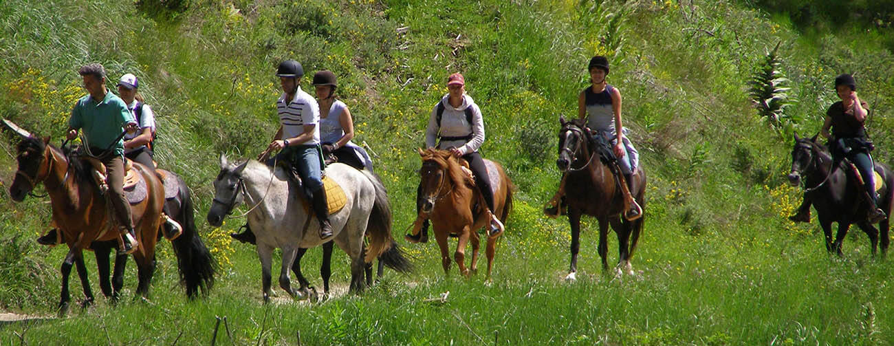 Horse Riding Tour