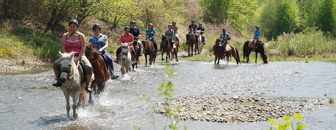 Horse Riding Tour